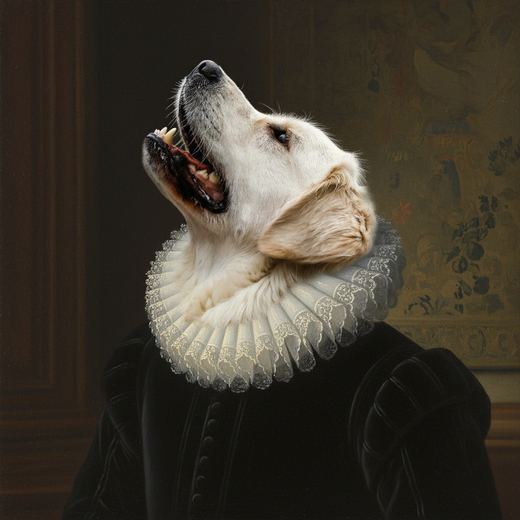 The retriever in a Dutch Golden Age painting with a white ruff.